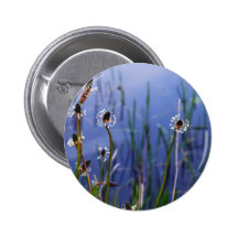 Wildflowers y agua blancos pins