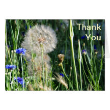 Wildflowers y Puffball, gracias Tarjeton