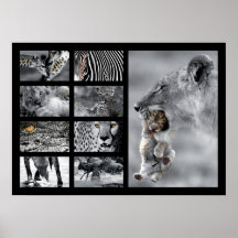 Wildlife de vez de ano poster