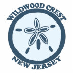 Wildwood. Esculturas Fotográficas