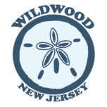 Wildwood. Esculturas Fotograficas