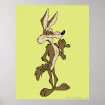 Wile E. Coyote Looking orgulloso Impresiones
