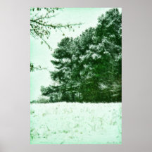 "Wintergreen " Impresiones