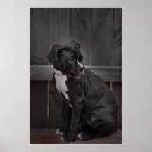Wobegone Poster