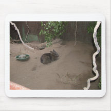 Wombat Tapetes De Raton