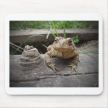 WoodToadLog.jpg Alfombrilla De Raton