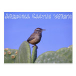 Wren de cactus de Arizona Postales