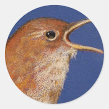 WREN DEL CANTO ETIQUETA REDONDA