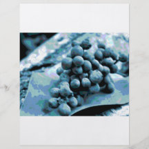 xcolorsgrapes tarjetas informativas