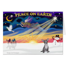 XmasSunrise-Chihuahua5 Tarjetas