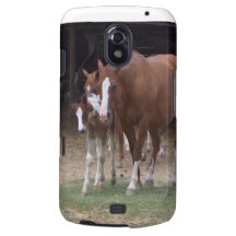 XX diseño del arte de la fotografía del caballo Samsung Galaxy Nexus Fundas