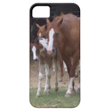 XX diseño del arte de la fotografía del caballo iPhone 5 Coberturas