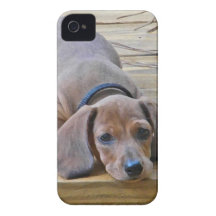 XX fotografía del perro de perrito del perro de pa iPhone 4 Case-Mate Cobertura