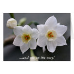 ¡… y uno en la manera! tarjeton