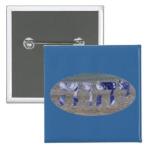 Yahweh en el agua pins