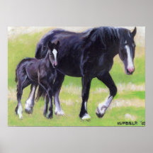 Yegua de Clydesdale y retrato del caballo del potr Posters