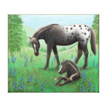 Yegua del Appaloosa y lona envuelta potro Impresión En Lienzo Estirada