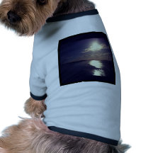 Yegua estupenda de Weston Camisa De Mascota