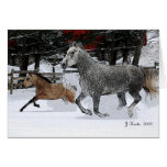 Yegua y potro que corren en nieve tarjeta