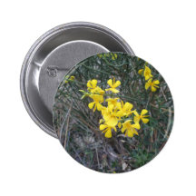 Yello Pins