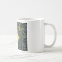 Yello Tazas