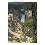 Yellowstone 1 tarjetas