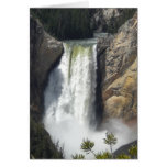 Yellowstone 2 tarjetas