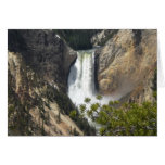 Yellowstone 3 tarjetas