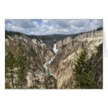 Yellowstone 4 tarjetas
