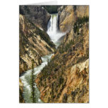 Yellowstone 5 tarjetas