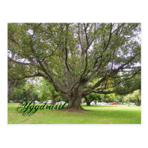 Yggdrasil Tarjetas Postales