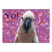 ¡YO! TARJETA