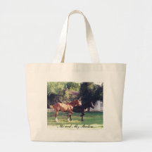 Yo y mi sombra - bolso del caballo bolsas
