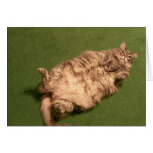 Yoga diaria del gatito del chica de Smoochie Tarjeton