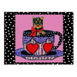 Yorkie Poo Postal