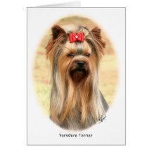Yorkie Tarjeta