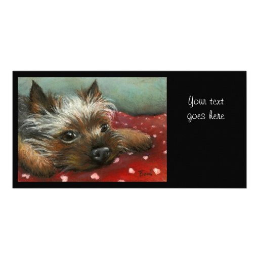 Yorkie y corazones tarjetas fotograficas personalizadas