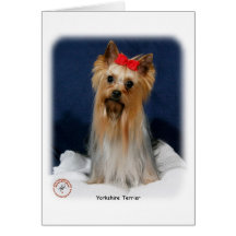 Yorkshire Terrier 9Y110D-013 Felicitacion