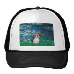 Yorkshire Terrier (Biewer) - lirios 5 Gorros