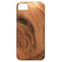Yorkshire Terrier iPhone 5 Funda