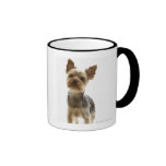 Yorkshire Terrier Tazas De Café