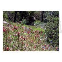Yosemite en primavera:  Lupine del Harlequin Tarjetón