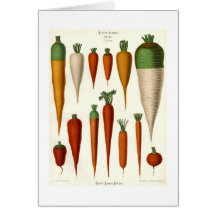 Zanahorias Tarjeta