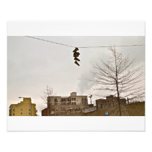 Zapatillas de deporte de Brooklyn en un alambre Fotografía
