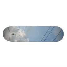 Zapato de Dan Monick Patín Personalizado