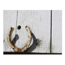 Zapato del caballo postales