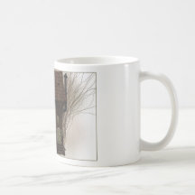 Zapato Fae Tazas De Café