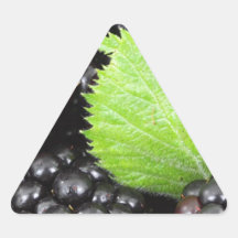 Zarzamoras Colcomanias Triangulo Personalizadas