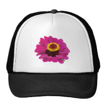 Zinnia magenta gorro