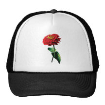 Zinnia rojo en sol gorras de camionero